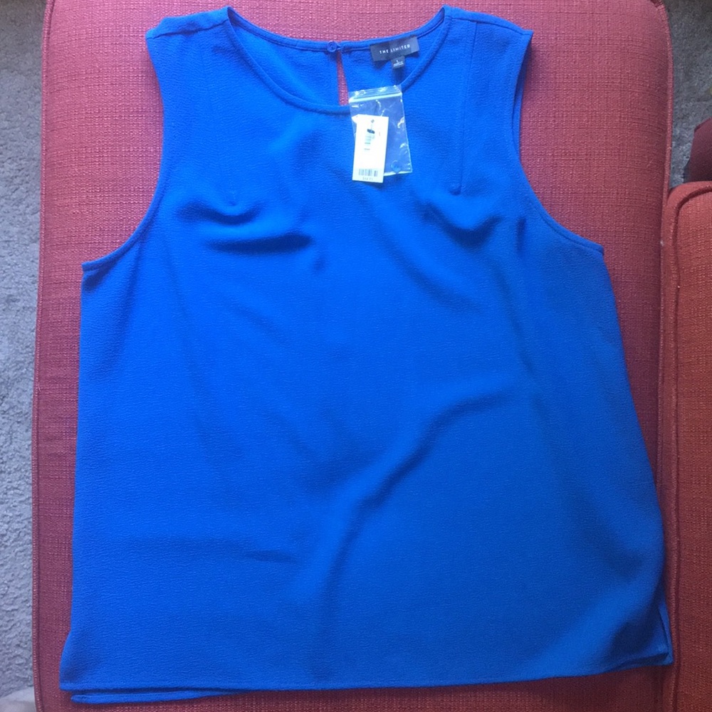 BNWT sleeveless limited blue top.